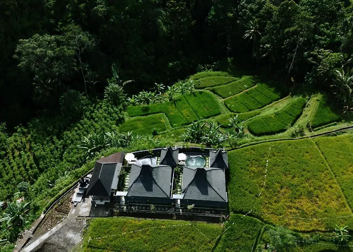 Lodge The Legoz Valley Ubud *